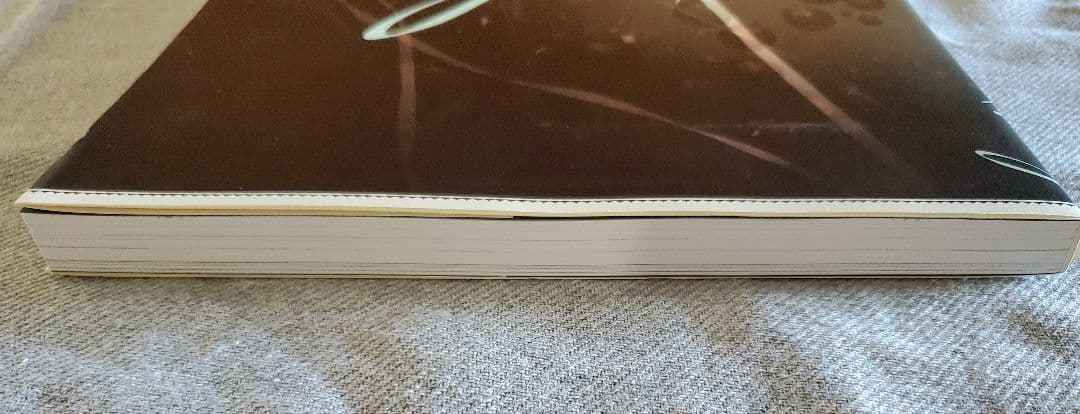 武田日向画集 lumiere　リュミエール