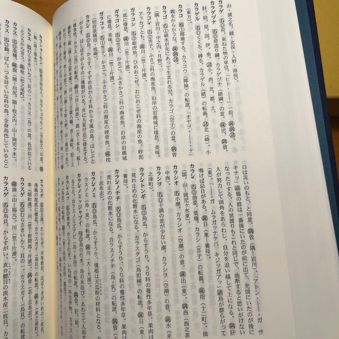 鹿児島方言大辞典 上・下巻 橋口満著 鹿児島弁大辞典 - メルカリ