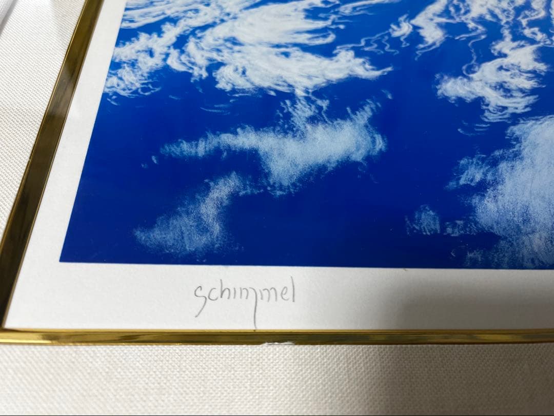 希少価値の黒豹】シムシメール 「未来を探し求めて」美品 ジークレー