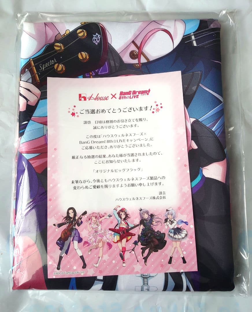 バンドリ! オリジナルビッグフラッグ BanG Dream!(バンドリ!)