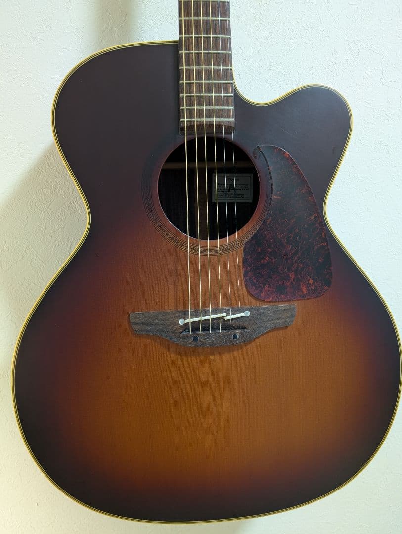 Takamine タカミネ ギター NPT-012 BS 美品 - メルカリ