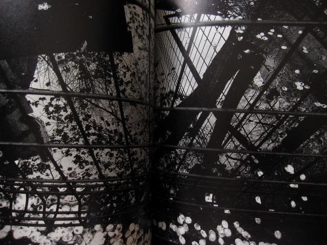 ANGO 森山大道 Daido Moriyama 直筆サイン入り - メルカリ