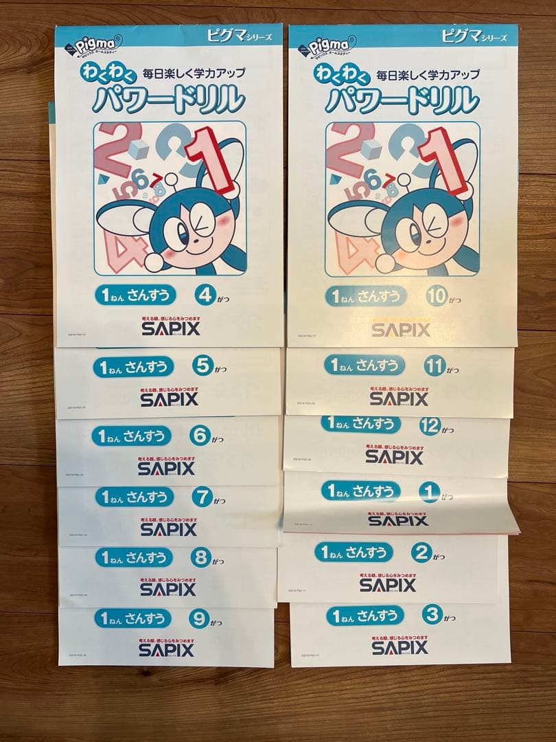 《未記入》サピックス　通信教材　ピグマ　1年生8〜3月分