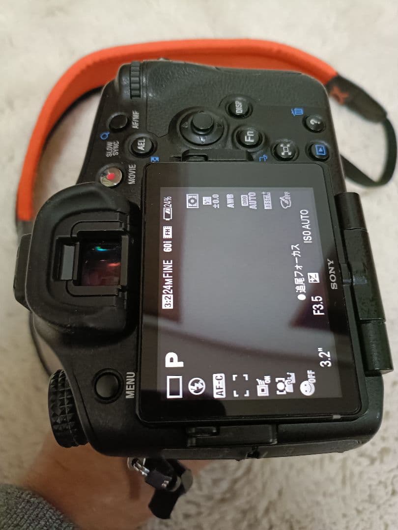 美品SONY α77+DT16-105mmf3.5-5.6