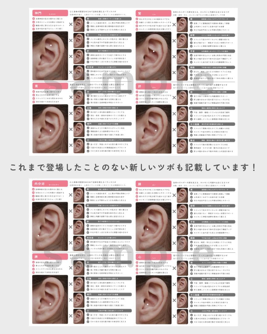 耳ツボ掛け算辞典 vol.1-2 | 耳ツボ辞典 | 耳つぼマップ