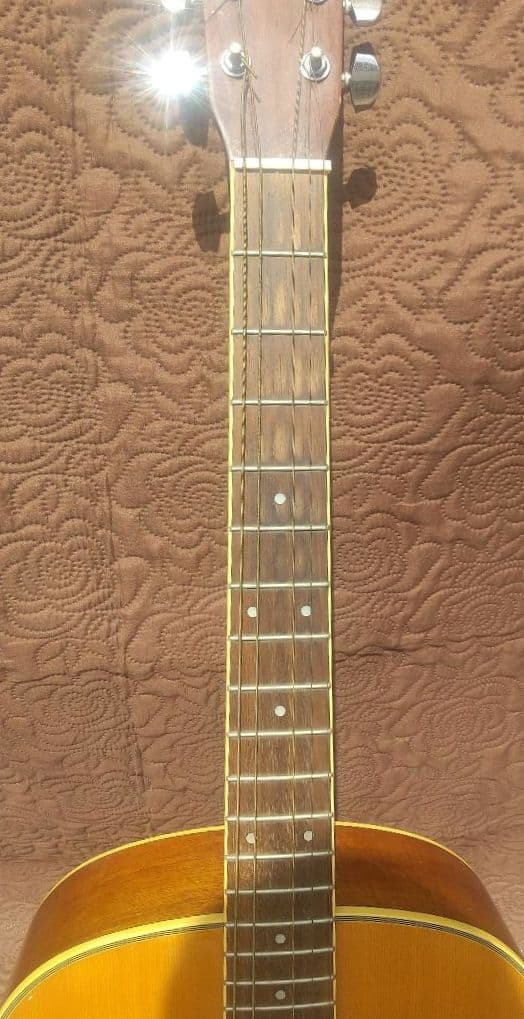 モーリス Morris MF-251N アコースティックギター - メルカリ