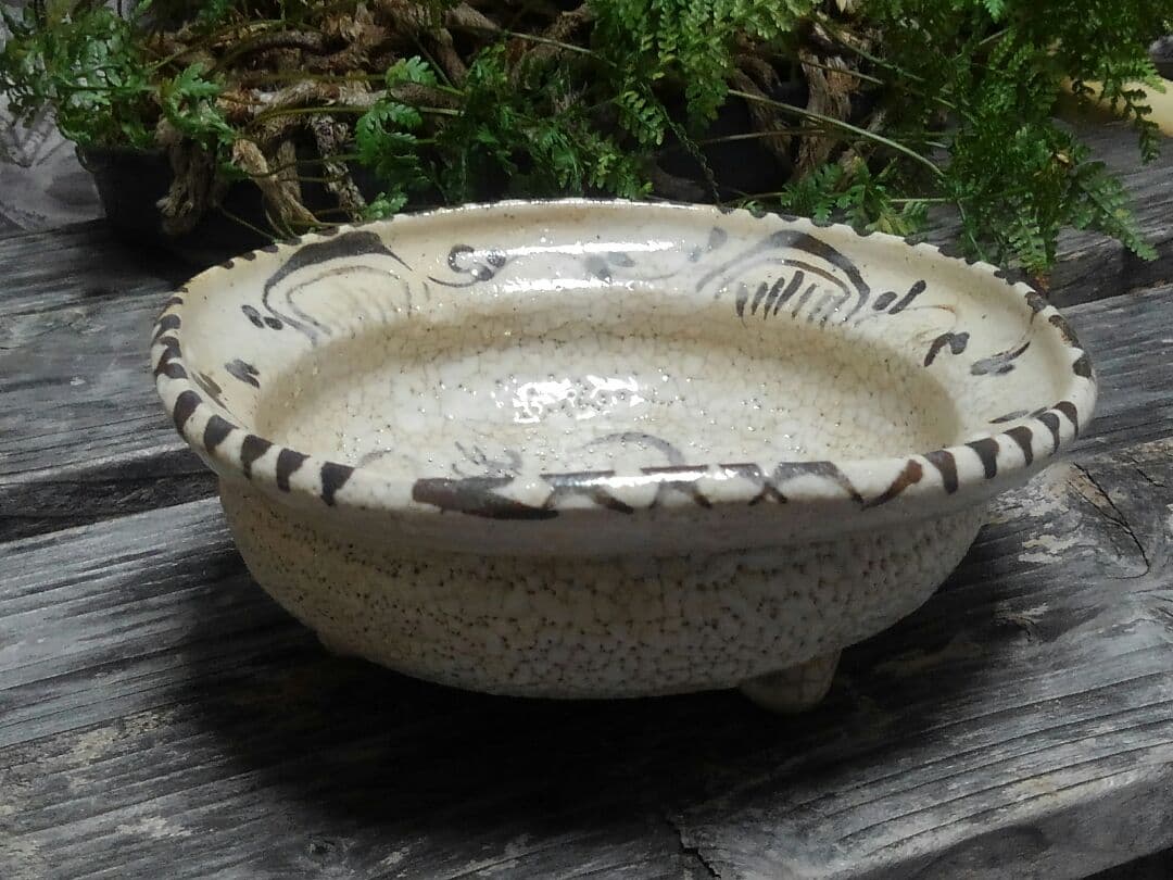 ♥美濃焼 志野 鉢 桐箱付き 志野織部 骨董品 - メルカリ