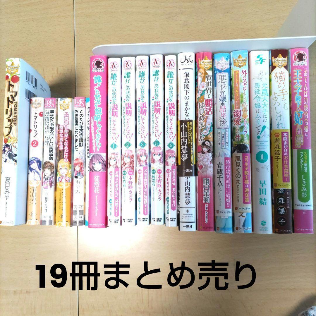 ライトノベル 小説 マンガ 19冊まとめ売り - メルカリ