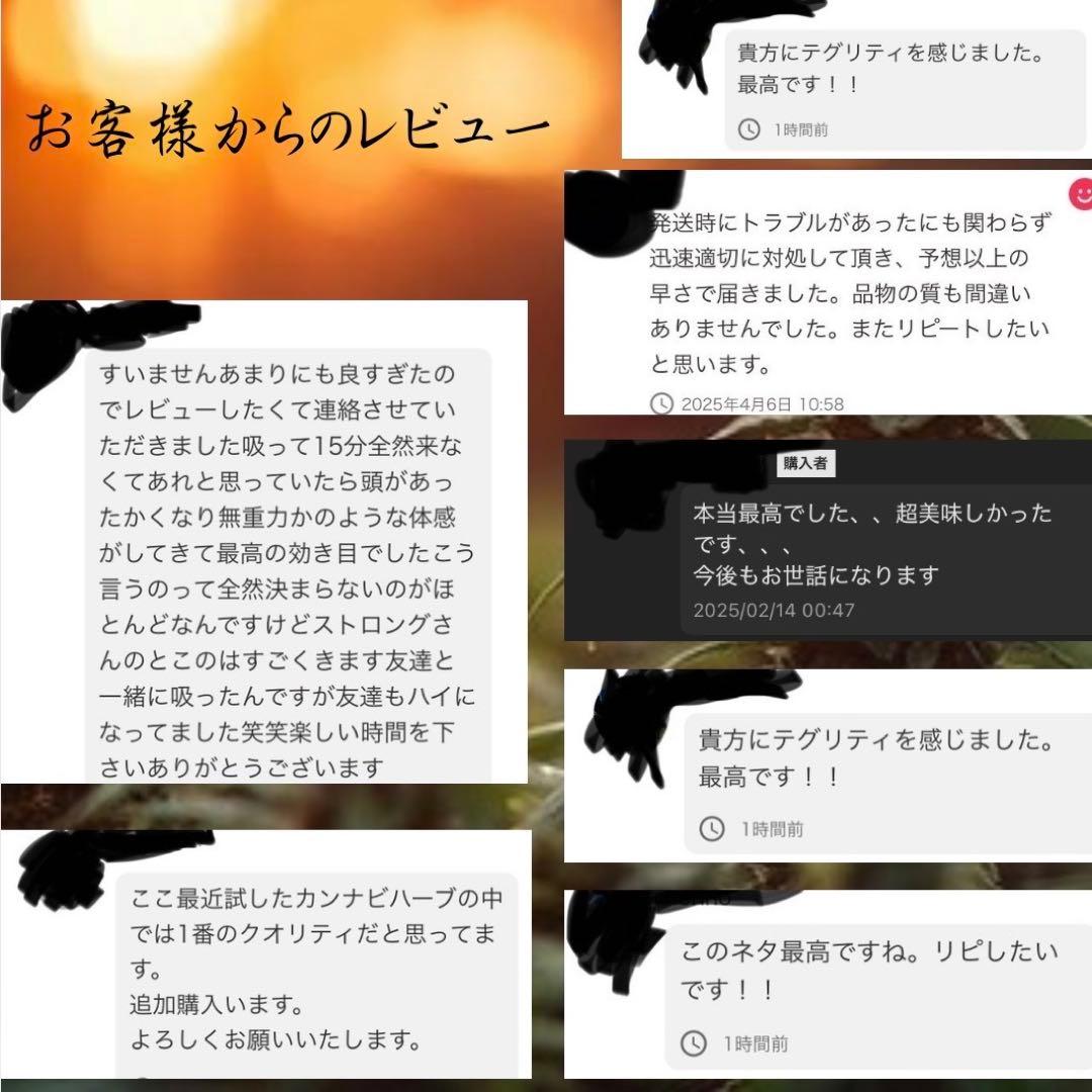 CRDP 高濃度 リキッド 1ml BUNNY