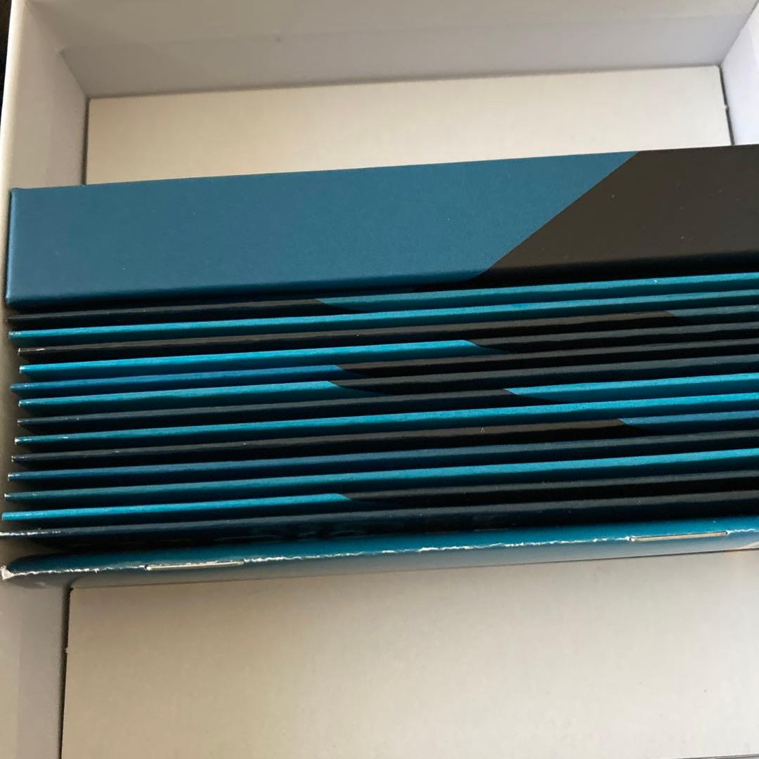 チェリビダッケ 13 DVD