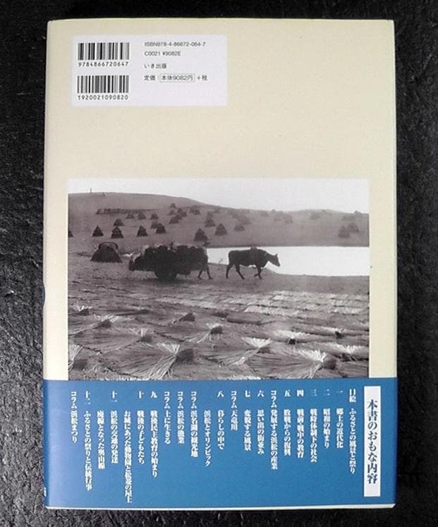 写真が語る 浜松市の110年 浜松市制110周年記念 2021年 いき出版 静岡