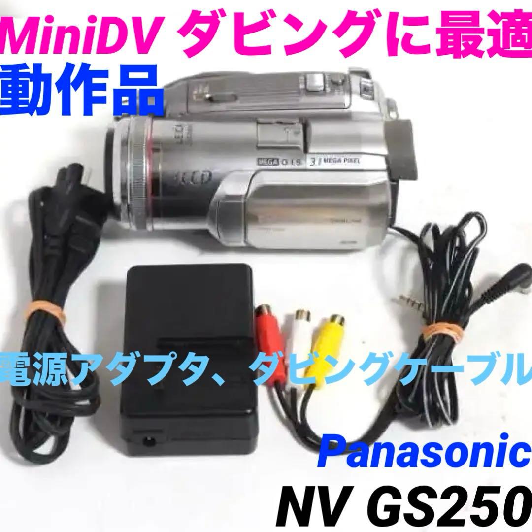NV GS250【動作品】 Panasonic MiniDVビデオカメラ 127 概要 液晶デジタルビデオカメラ NV-GS250 | デジタルビデオカメラ