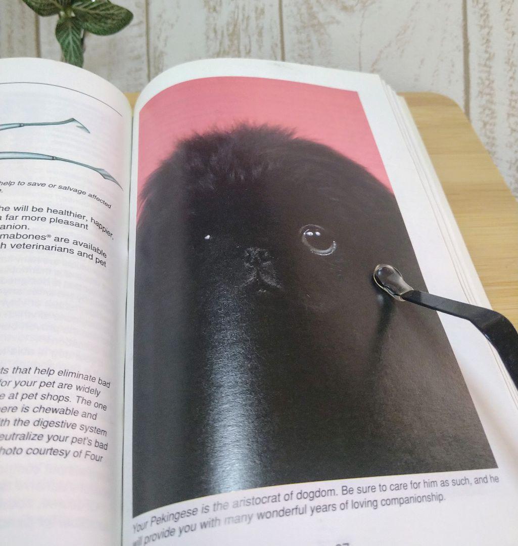 ペキニーズ書籍4冊セット 本 洋書 写真 pekingese PEKINGESE - メルカリ