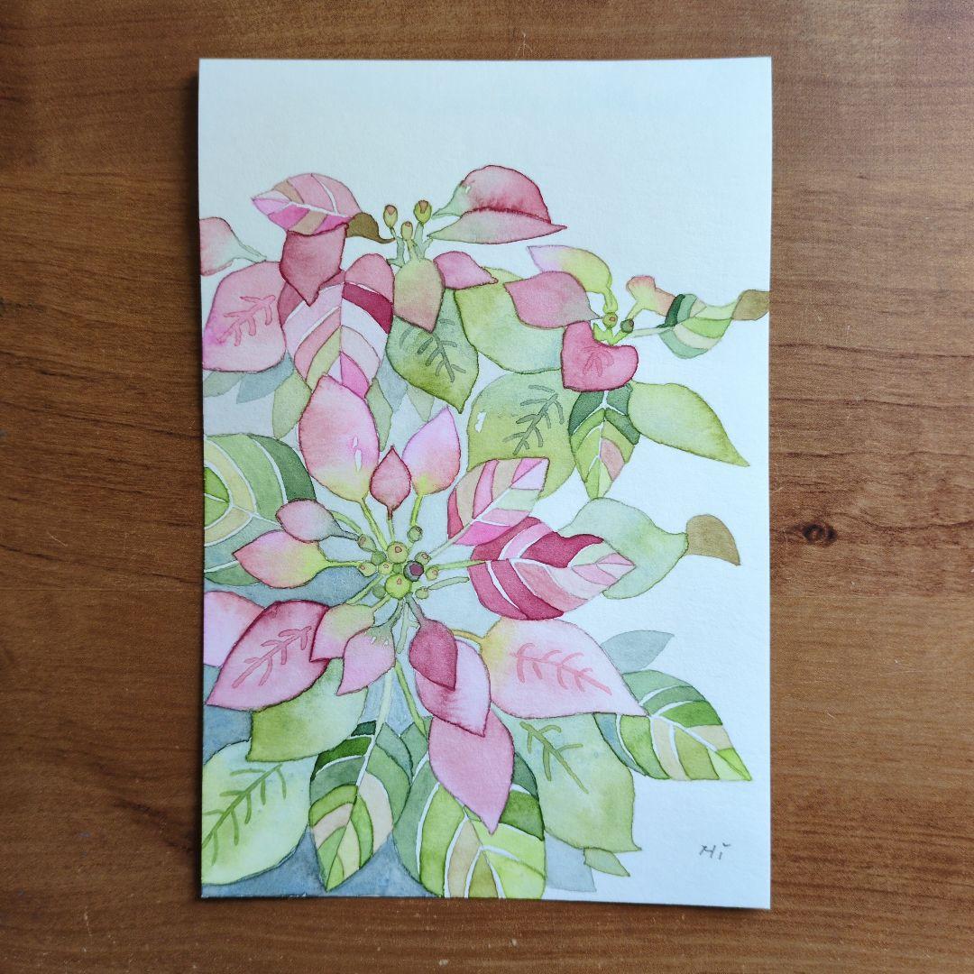 ポインセチアのクリスマス（水彩画）（原画） - メルカリ