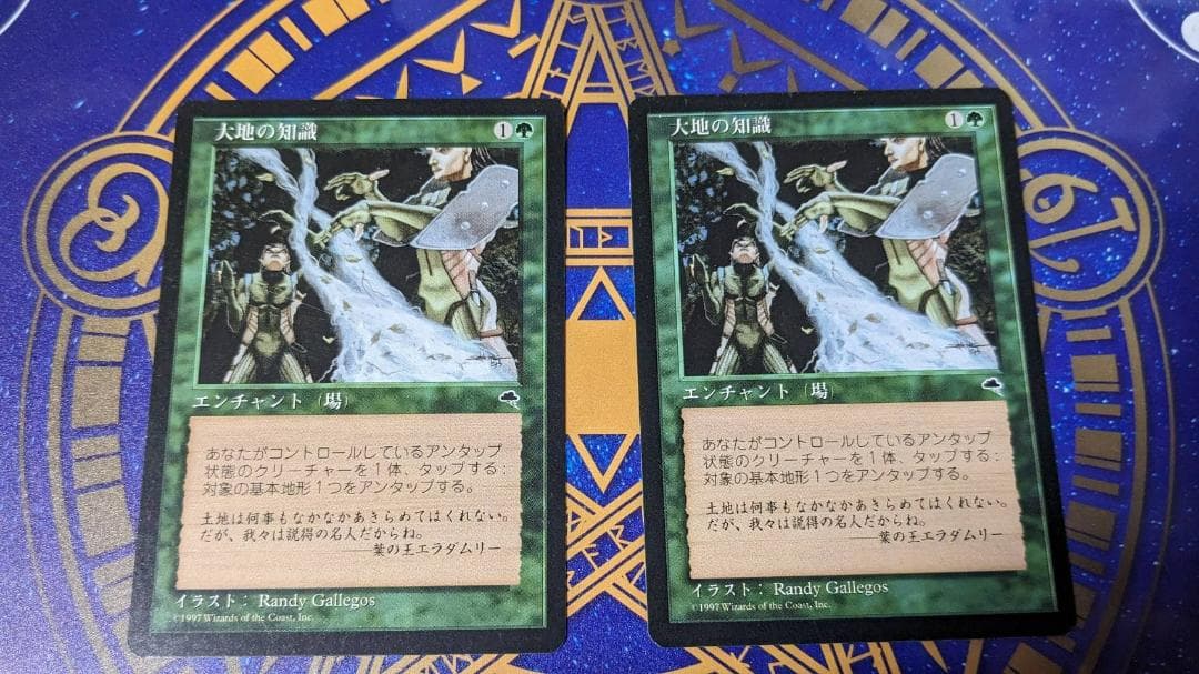 MTG 大地の知識 2枚セット