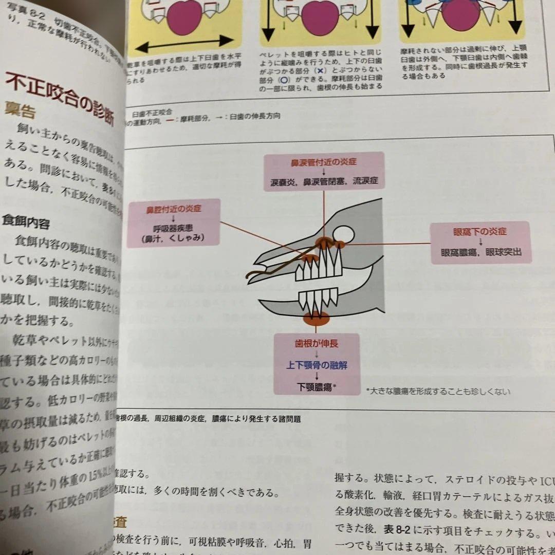 定価15400円　できる!!ウサギの診療　沖田将人　エデュワードプレス