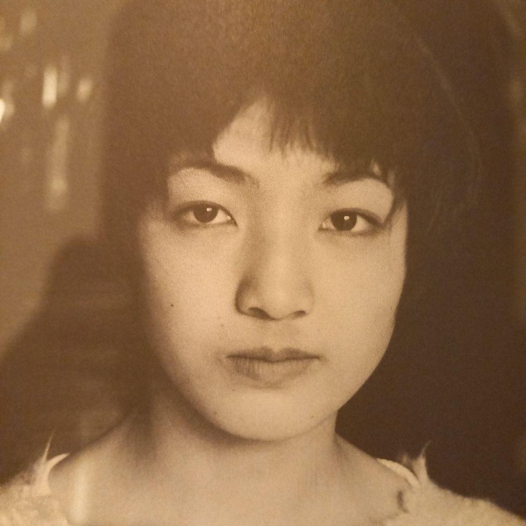 甲斐扶佐義　写真集　美女365日　カバー付き　東方出版　ほんやら洞　八文字屋