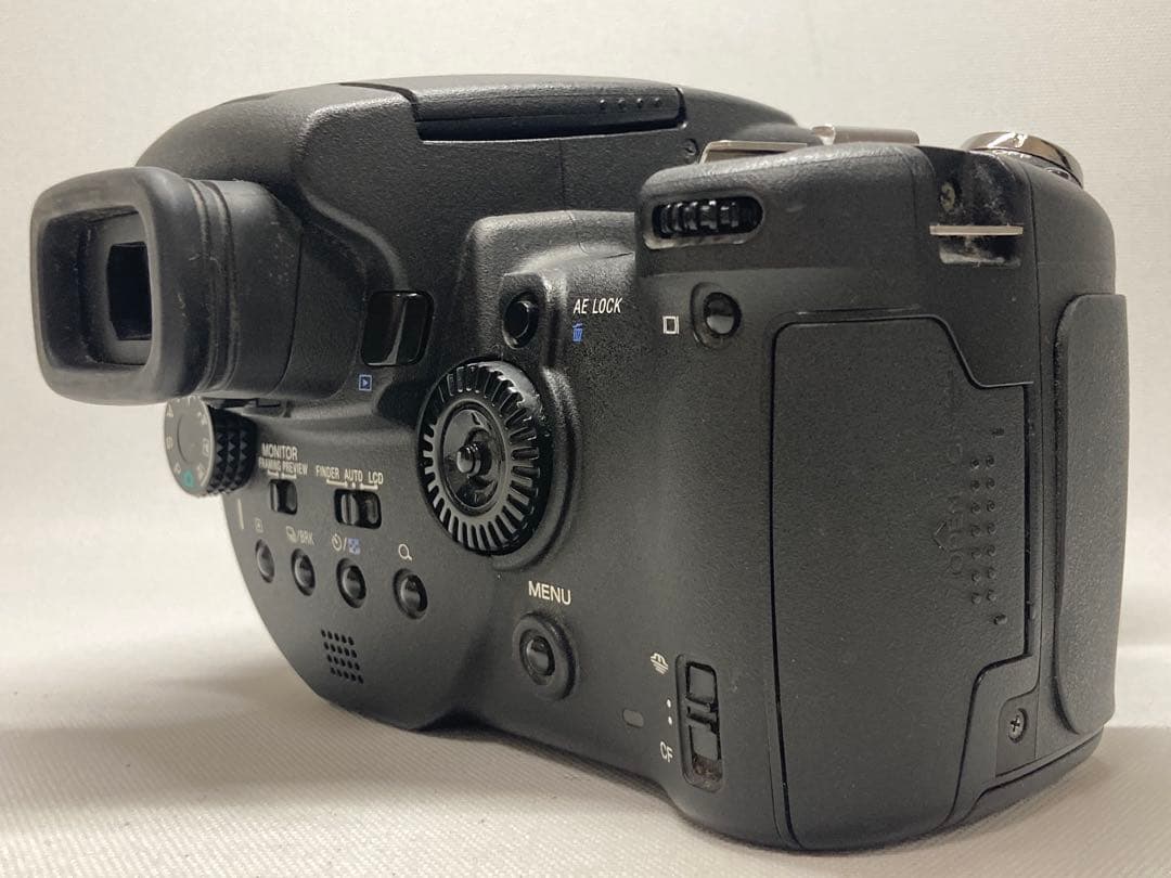 美品 SONY Cyber-shot DSC-R1 撮影例有 l01a273dd - メルカリ