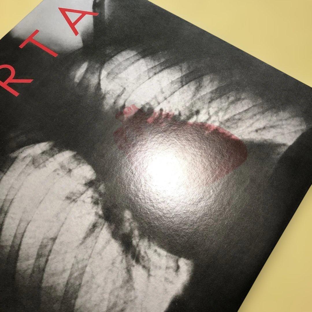 AORTA エイオ-タ　SONP 50119 日本盤