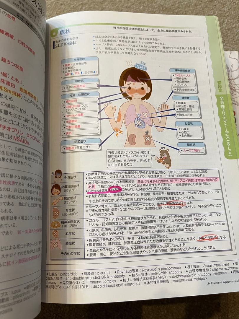 病気がみえる 全11巻セット