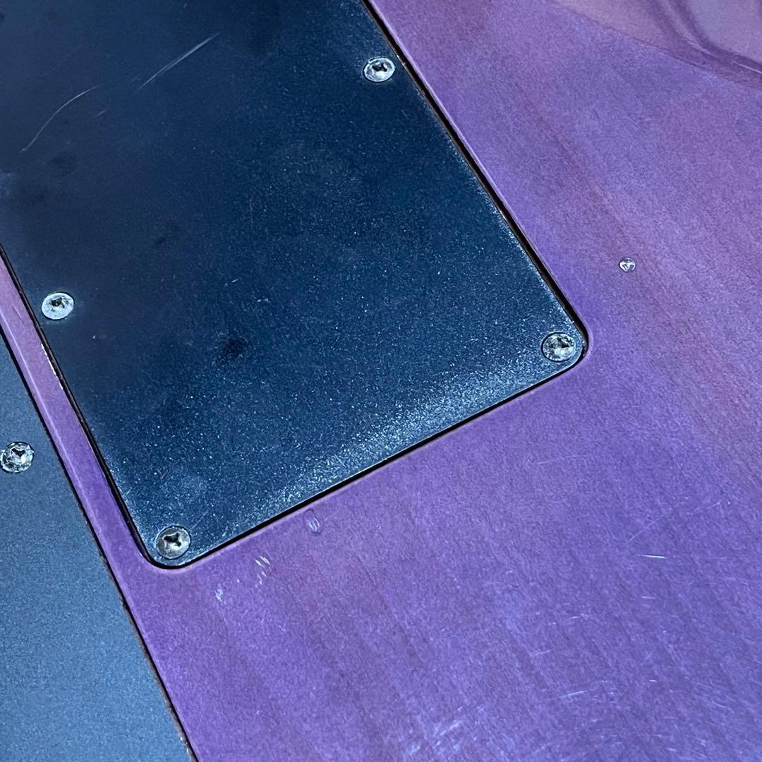 m*n様 Chatting Bird by Caparison ディンキータイプ - メルカリ