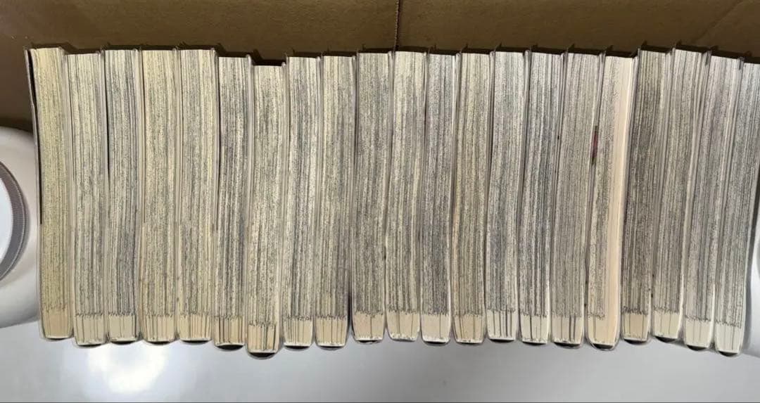 はぐれアイドル地獄変 1〜18巻　外伝3冊