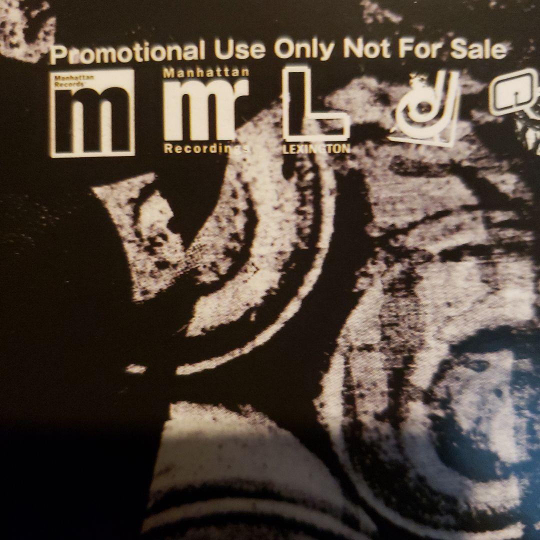 希少 国内プロモ 非売品 underslowjams Fishmans - メルカリ