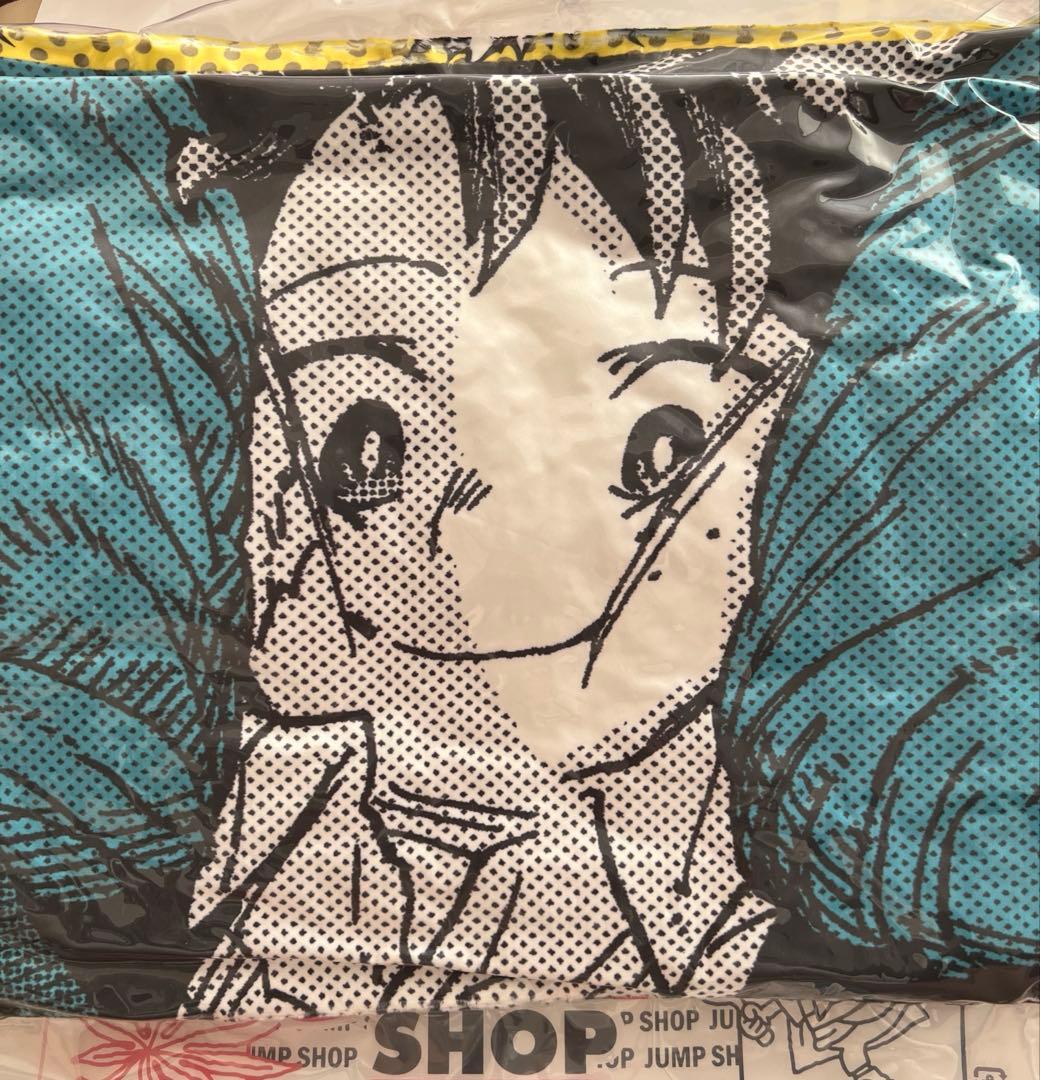 ヒロアカ 沈むんだけどすごくない？クッション - メルカリ