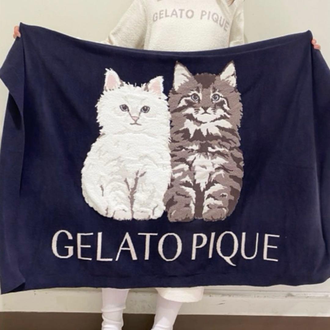 新品 ジェラートピケ ツインキャットジャガードブランケット 毛布