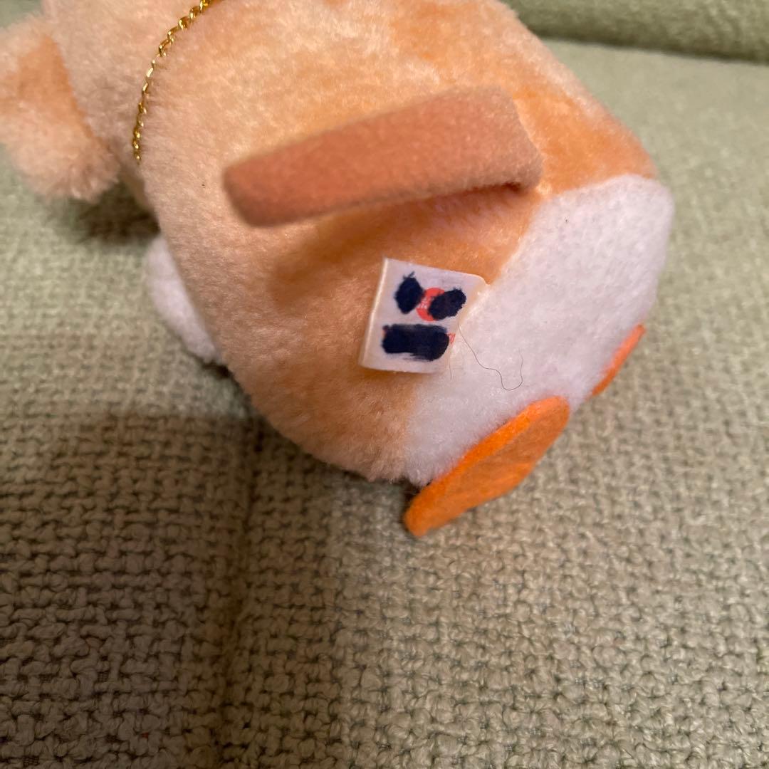 南の島のルーシー✨わんぱくモッシュ - メルカリ