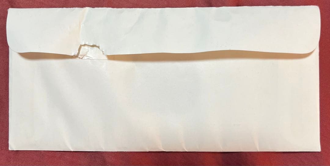 ディズニーダラー ミッキースティッチビッグサンダーマウンテン