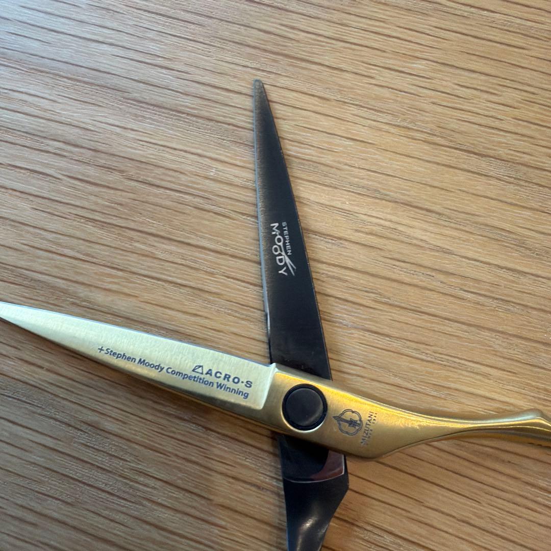 ✨MIZUTANI ✨Stephen Moody シザー5.0