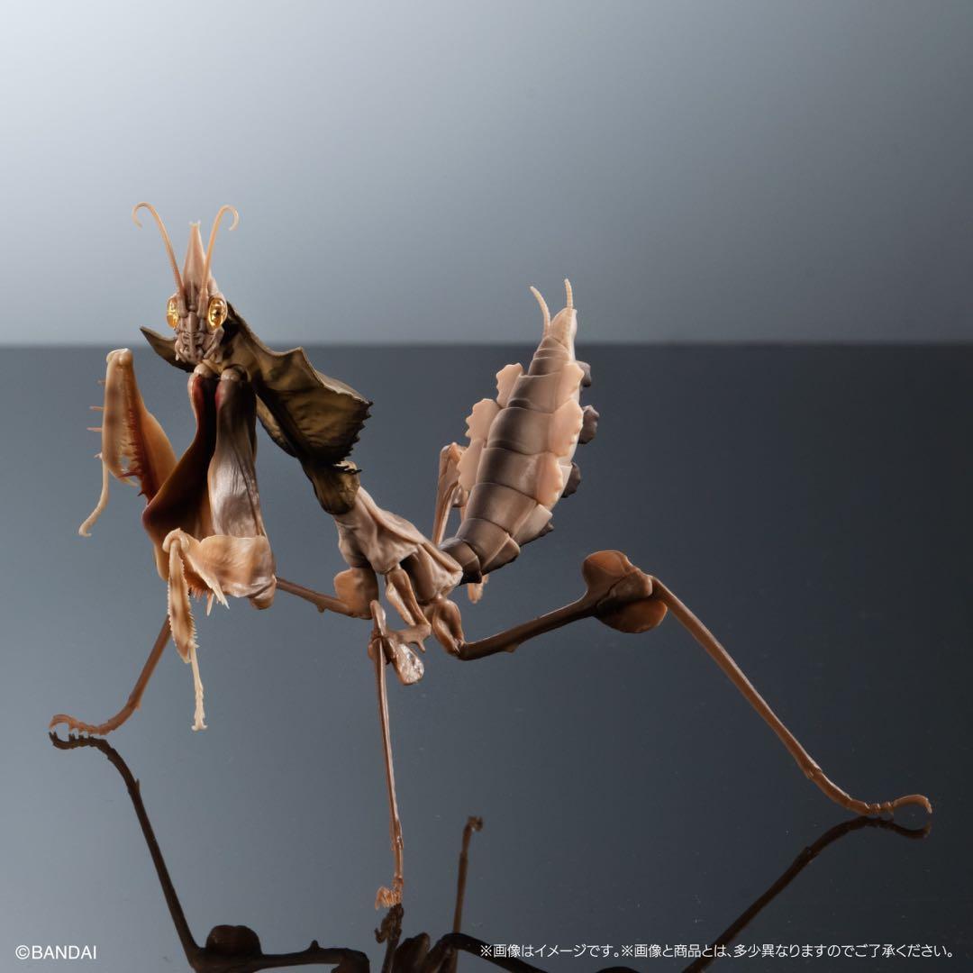 シ*ン様 いきもの大図鑑アドバンス ニセハナマオウカマキリ