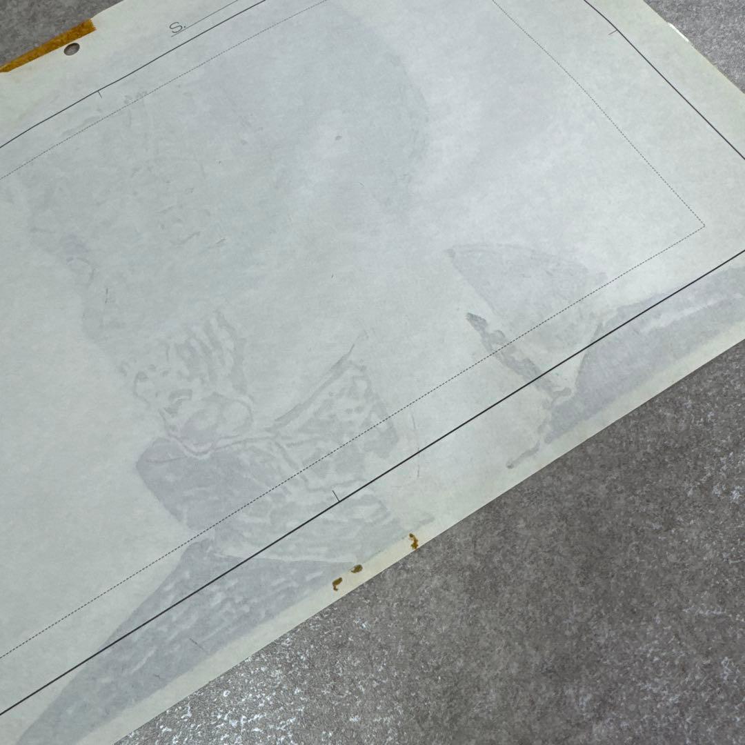 希少 おもひでぽろぽろ トシオ セル画 C5 スタジオジブリ - メルカリ