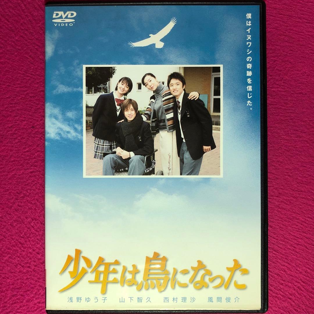 少年は鳥になった DVD☆新品ケースに交換・ディスクの除菌・研磨済み