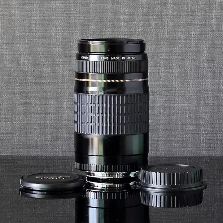 美品CANON純正定番望遠レンズEF75-300mm f/4-5:6 USM搭載