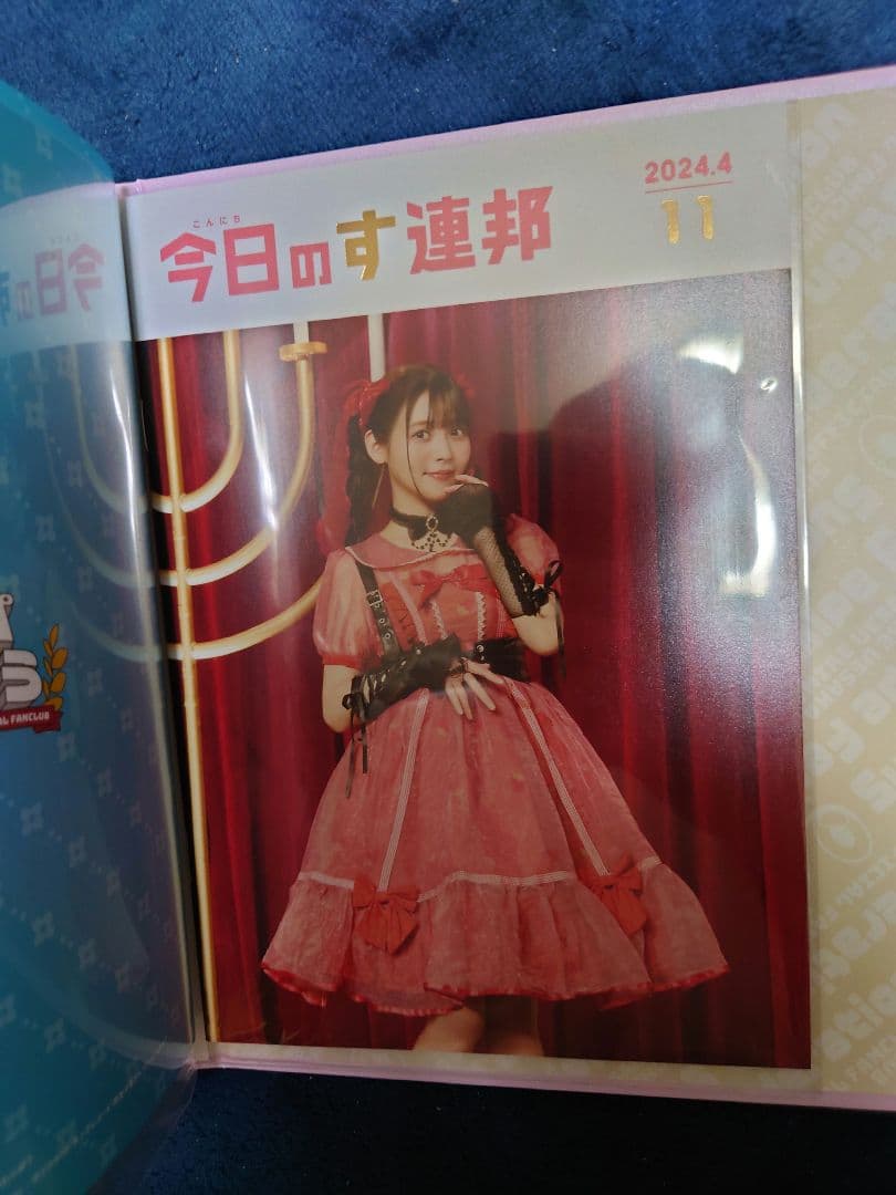 上坂すみれ ファンクラブ会報誌 全11部 専用バインダー付属 - メルカリ