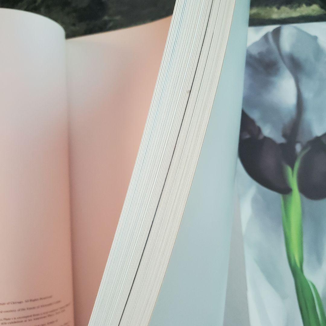 大型本・美品】ジョージア・オキーフ 花の作品集 - メルカリ