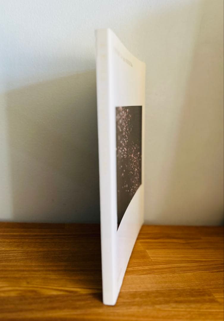 美品　光・野口理佳 The Light 写真集　希少