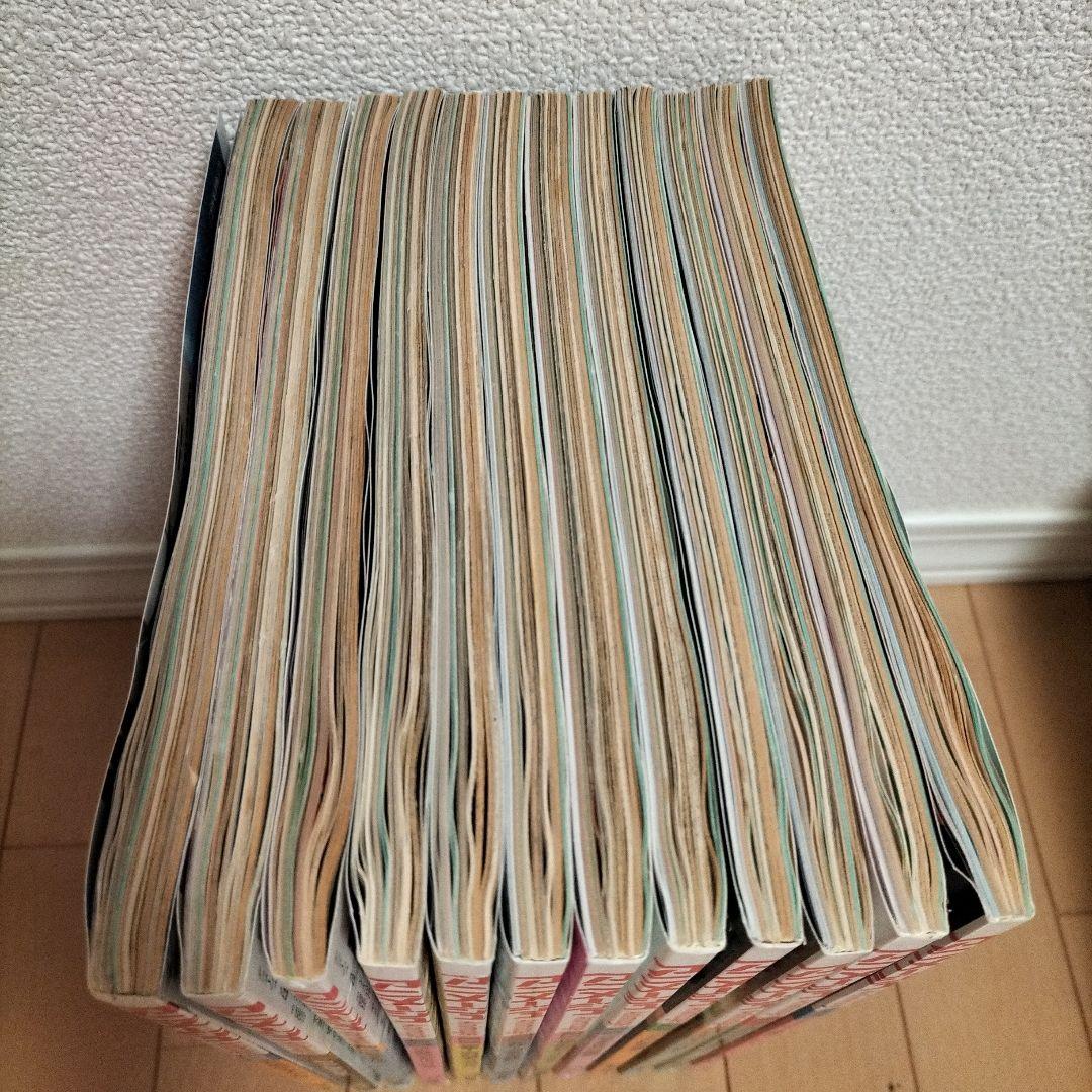 新品同様】アニメージュ〈12冊セット〉1995年1月号〜12月号 ふろく付き