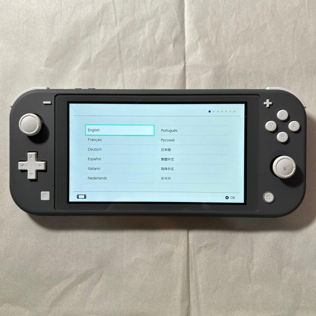 《動作確認済み》Nintendo Switch Lite グレー
