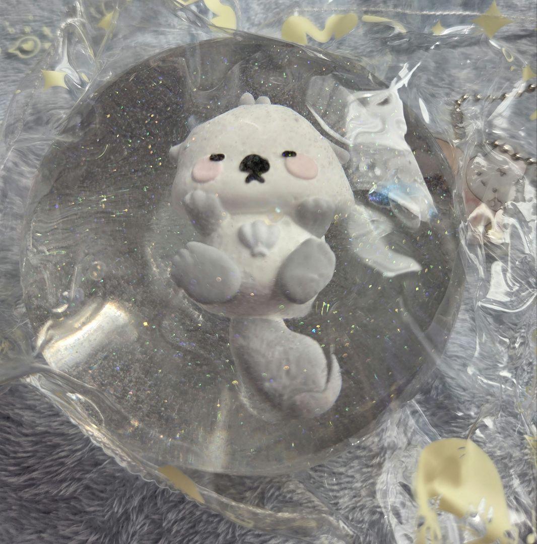 MOMO スクイーズ 海洋シリーズ 第1弾 ラッコ シークレット - メルカリ