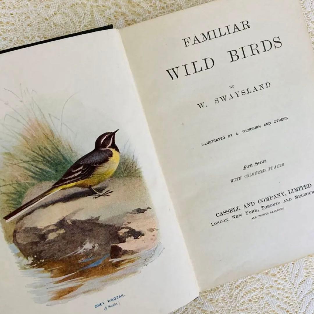 洋書 古書 Familiar Wild Birds 1&2巻 アンティーク鳥図鑑