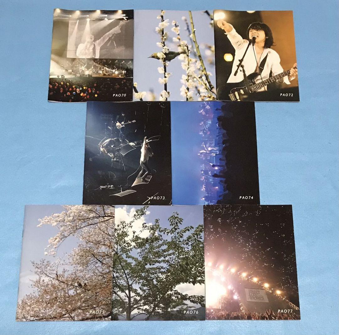 エレファントカシマシ PAO ファンクラブ 会報 vol.50-77 28冊