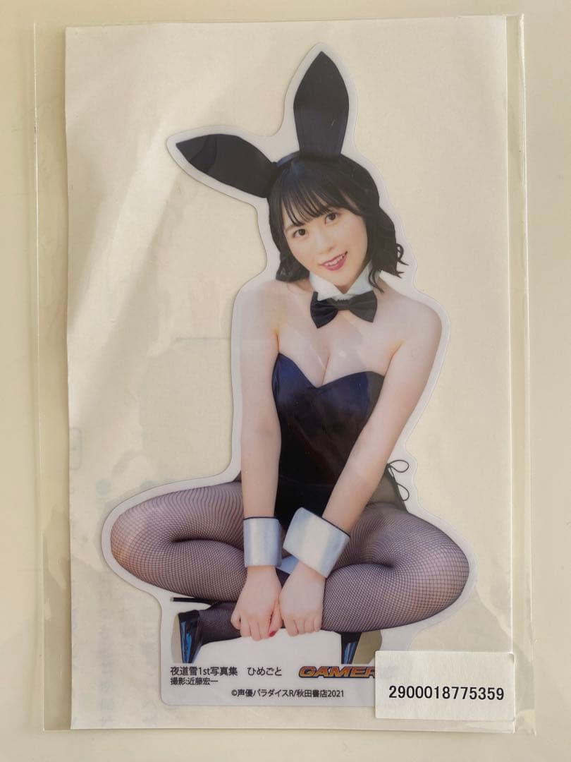 夜道雪1st写真集『ひめごと』ゲーマーズ【超】限定版 等身大タオル&ステッカー付