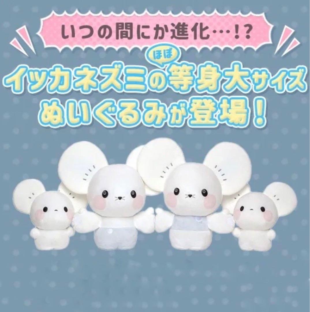 ポケモン いつの間にか進化！？ イッカネズミ 等身大ぬいぐるみ タカラ