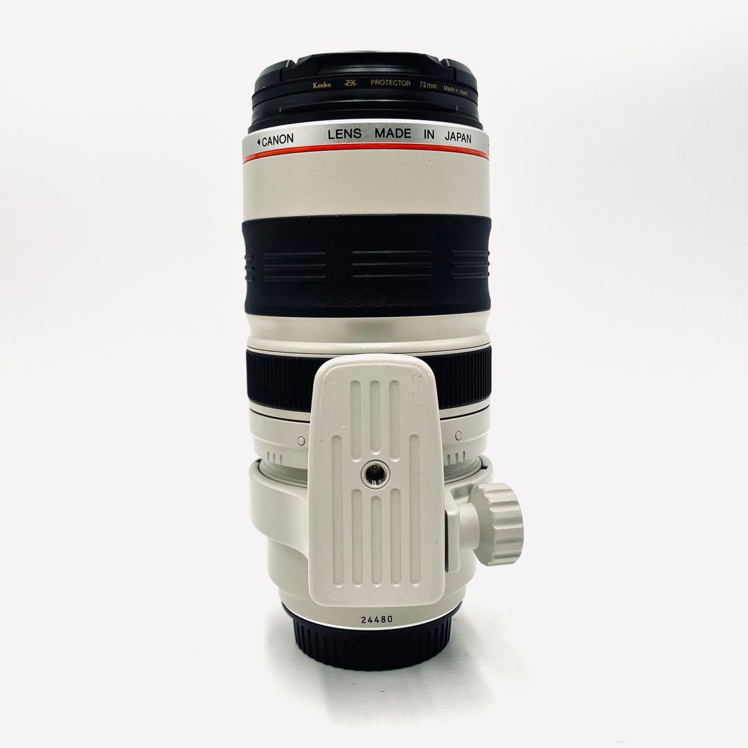 レンズ(ズーム) Canon EF 35-350mm F3.5-5.6 L USM