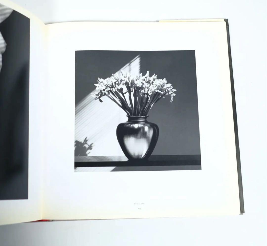 ROBERT MAPPLETHORPE 洋書 写真集 RANDOM HOUSE
