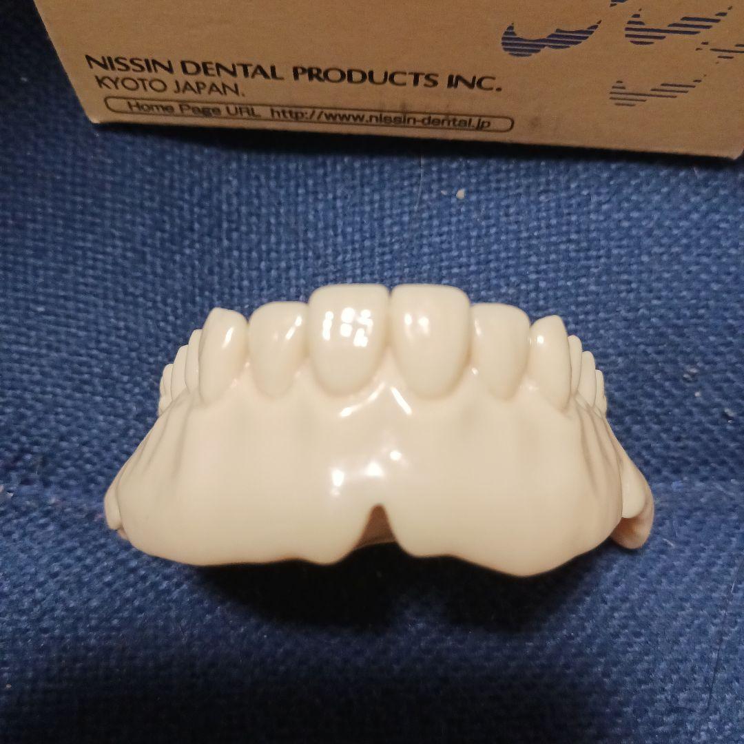 NISSIN デンタルモデル 歯科 ニッシン 歯科技工 義歯 模型 無歯顎