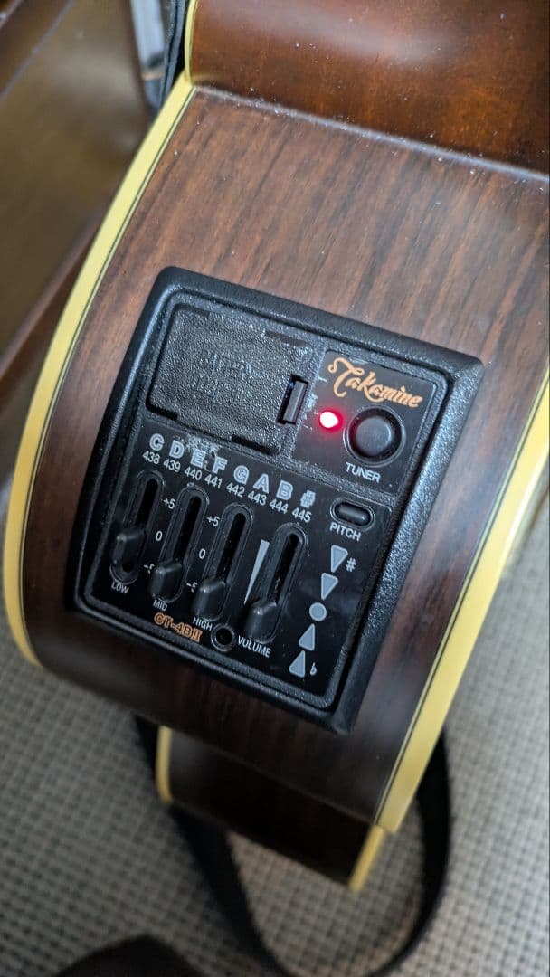 Takamine NPT-012BS【希少・名機】純正ハードケース付